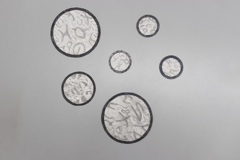 L’ocuicole est un endoparasite qui — même s’il peut se suffire à lui-même — est continuellement agité par la peur de manquer. Dès qu’il peut pénétrer l’organisme humain, il tente d’absorber chaque cellule de notre corps ; mais comme il n’en a pas besoin, il les rejette aussitôt un peu plus loin. Ainsi, après leur rejet par l’ocuicole, toutes les cellules sans exception de notre corps seront déplacées d’une distance infinitésimale, mais suffisante toutefois pour nous donner l’impression générale de n’être plus que le souvenir de nous-même. Tous les actes que nous poserons alors ne nous concerneront plus directement, mais seront accomplis au nom de celui que nous étions.