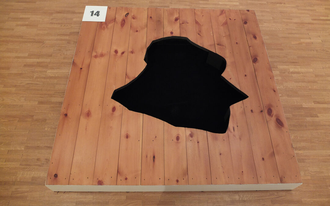 Lorsqu’il entendit au-dessus de lui le bruit sourd de la fameuse météorite qui devait s’abattre sur sa maison, Oskar Serti pressentit qu’il allait en être la victime. Résigné, sa dernière pensée fut pour Catherine de Sélys, qu’il avait pourtant lâchement abandonnée cinq ans auparavant. Le soudain rappel, en ce moment fatal, de l’exécrable comportement qu’il avait eu vis-à-vis de la pauvre Catherine, réveilla en lui un tel sentiment de dégoût qu’un violent soubresaut de répulsion envers lui-même le parcourut et l’écarta miraculeusement du danger.